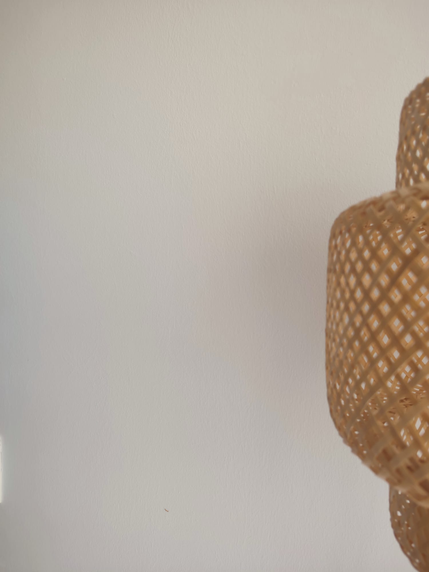 Marcar consulta presencial thumbnail