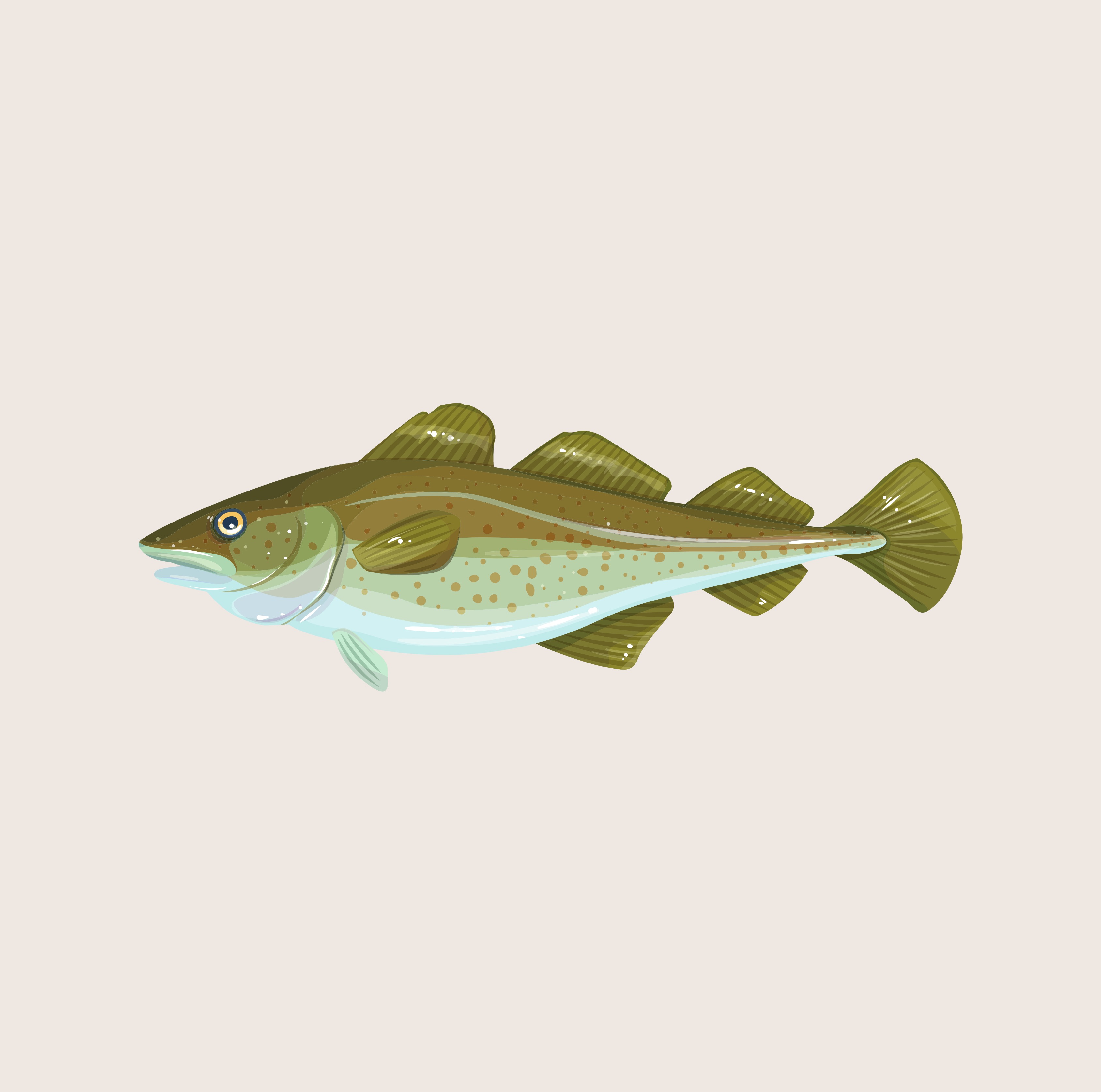 Bestel supplementen (o.a. omega 3 visolie) thumbnail