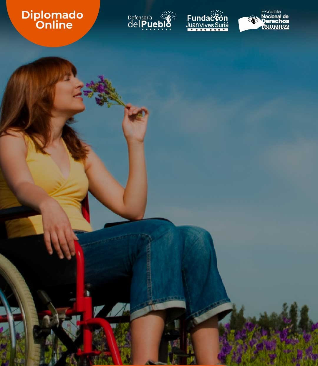 DERECHOS HUMANOS DE LAS PERSONAS CON DISCAPACIDAD thumbnail