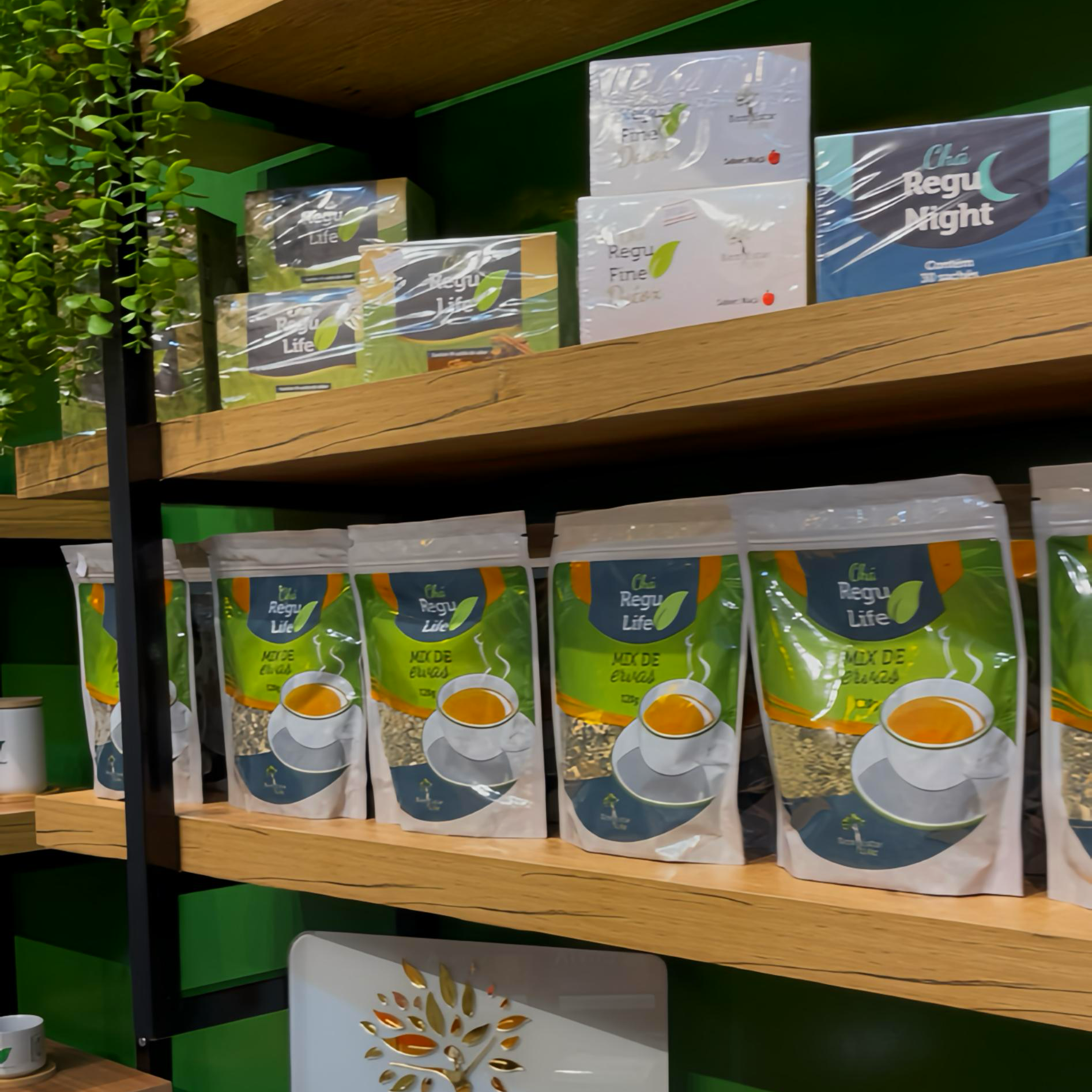 CATÁLAGO  DOS PRODUTOS thumbnail