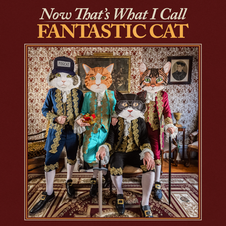 PRE-ORDER NEW ALBUM ‘NOW THAT’S WHAT I CALL FANTASTIC CAT’ OUT JUNE 7 thumbnail