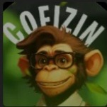 COFIZIN thumbnail