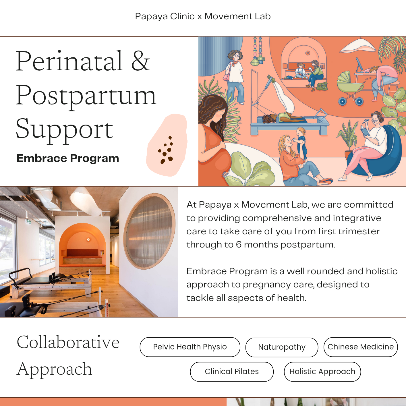 Download our Pregnancy Postpartum Framework thumbnail
