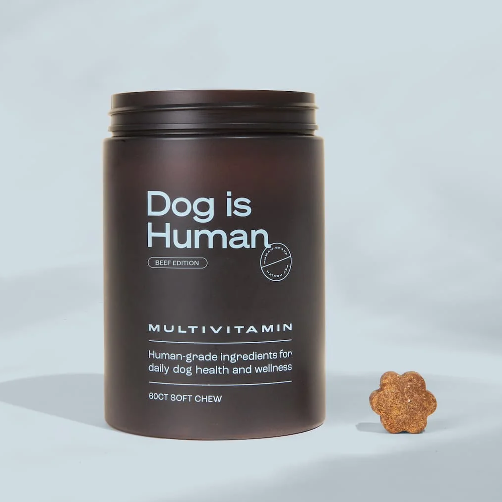 Dog is Human - 27% off with code HICKORY27 thumbnail