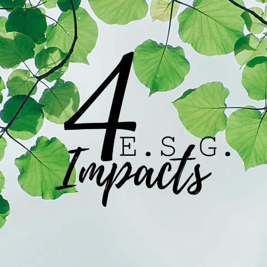 4 ESG IMPACTS | Accueil thumbnail