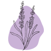 Wild Lavender Therapy thumbnail