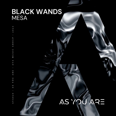 “Mesa”  Out Now on As You Are  thumbnail