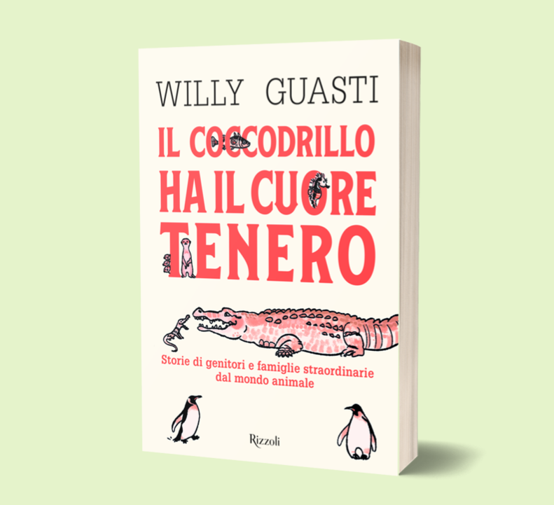il mio primo libro! thumbnail