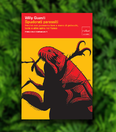 Il mio nuovo libro! thumbnail