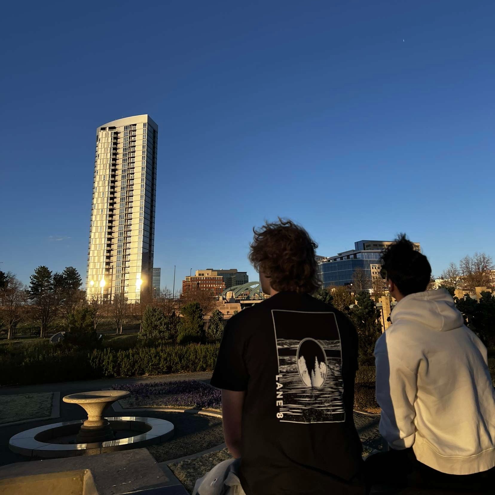 C O W - People Watching thumbnail