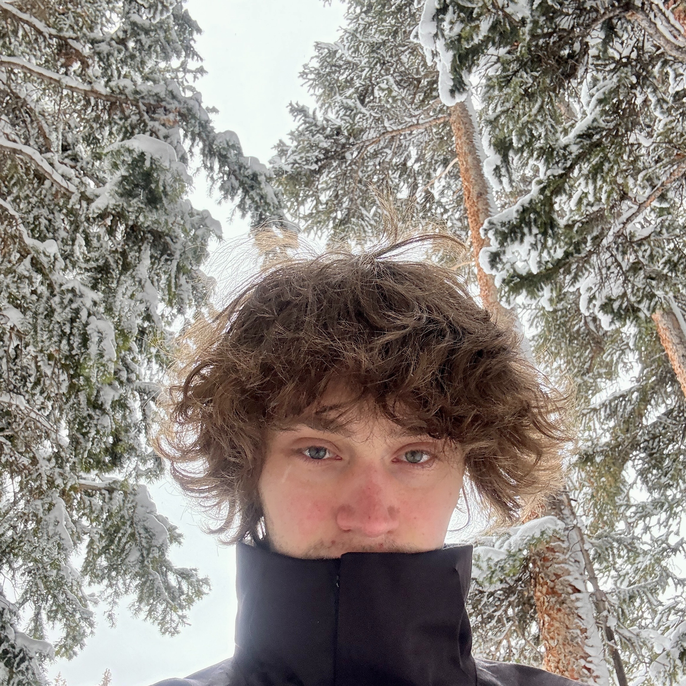 C O W - I Want To See Snow thumbnail