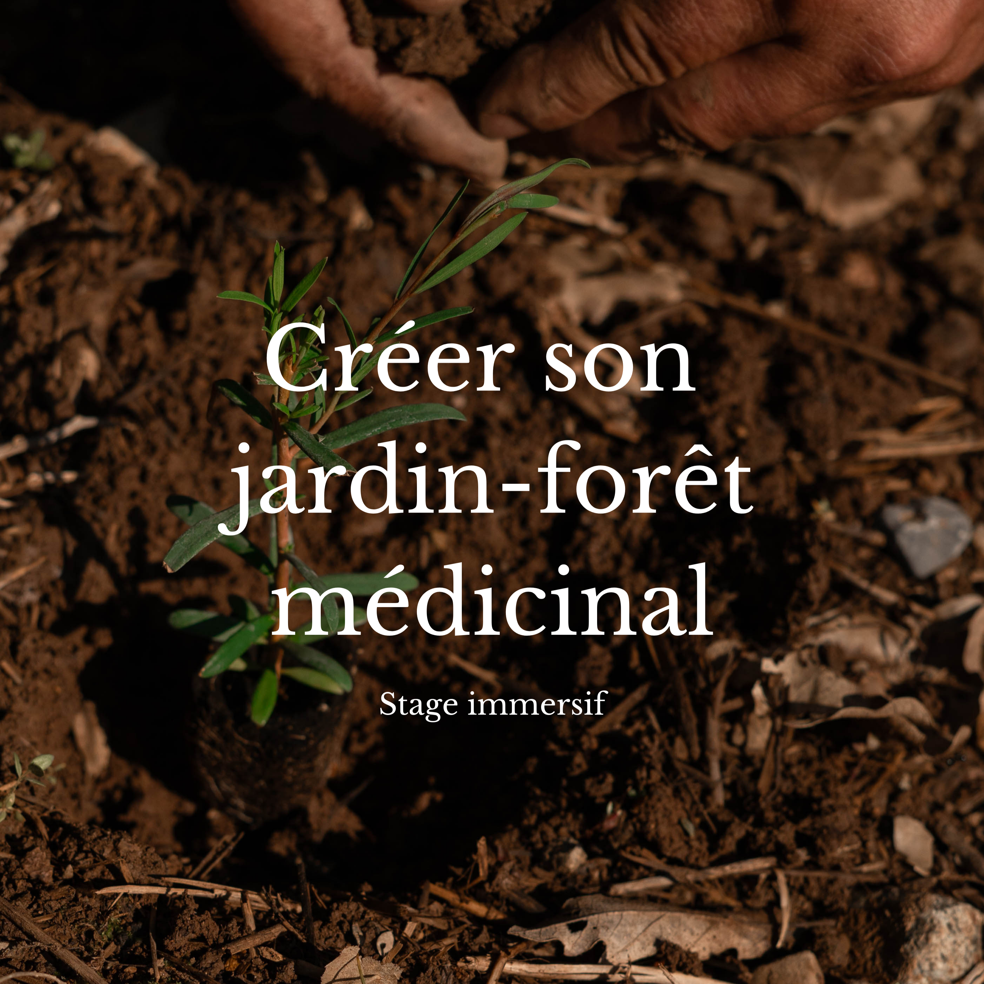 STAGE - 29 MAI AU 1ER JUIN - Jardin forêt médicinal thumbnail