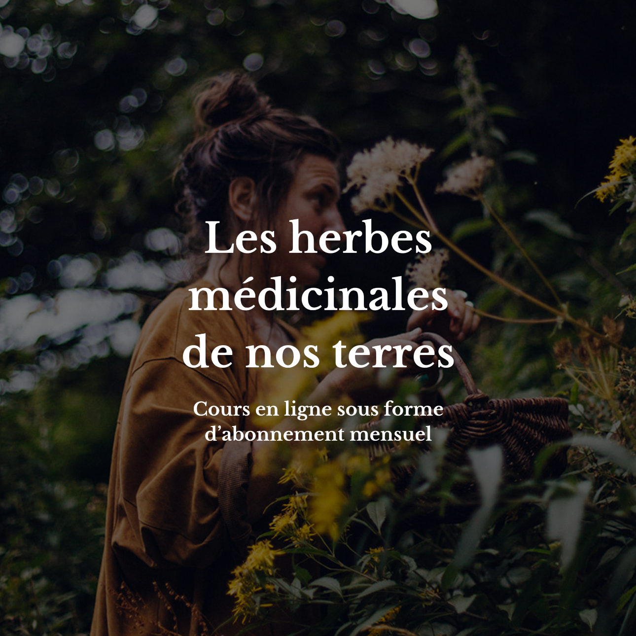 LANCEMENT -> Les herbes médicinales de nos terres thumbnail