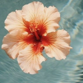 Products to Glow UP thumbnail