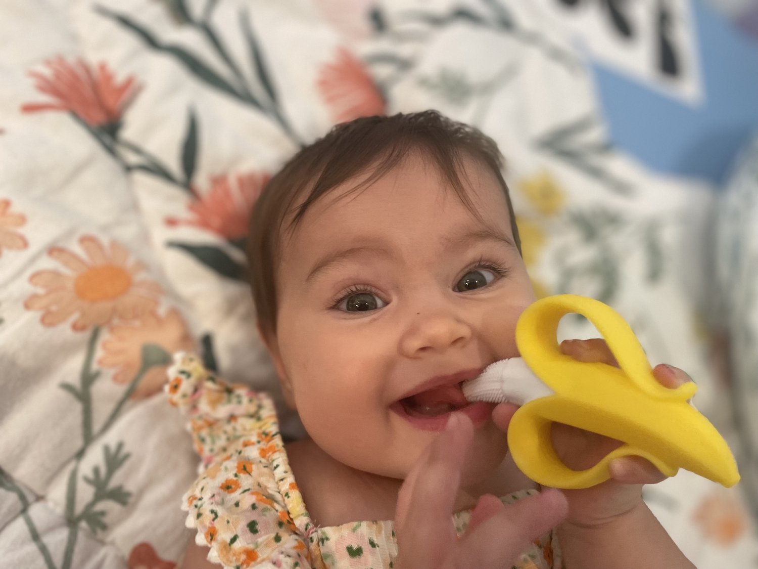 Top 10 Teethers for Baby to Help Prepare for Solid Foods — BabbleBites: Speech & Feeding thumbnail