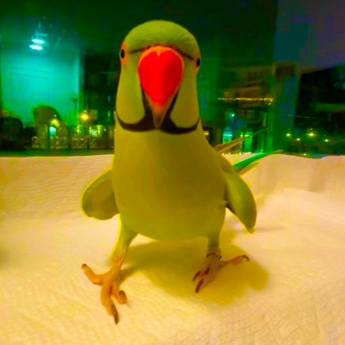 Awesome Solto thumbnail