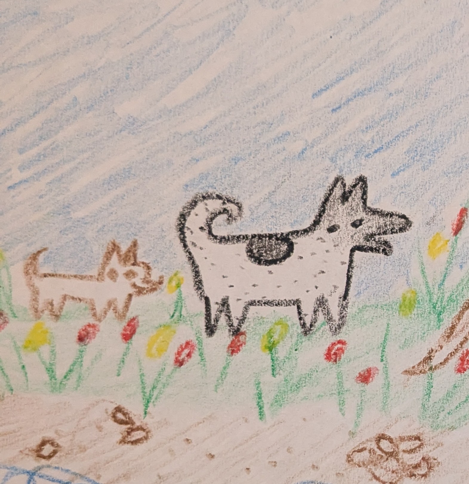 DrawingClub.org - Project by imaginaryline.net thumbnail