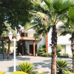 Sainik Farm, Delhi (Real Estate) thumbnail