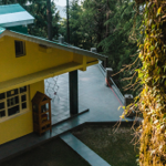 The Pine Tree , Dalhousie (HomeStay) thumbnail