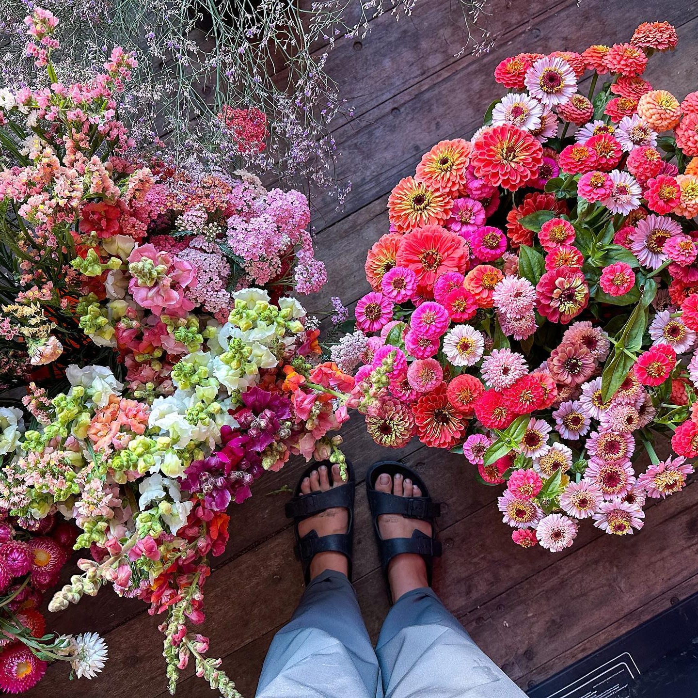 Growing Cut Flowers Foundation Course 💐 thumbnail