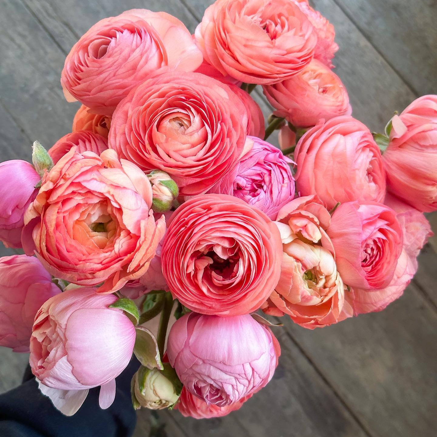 Join E-Mail Community 💌 thumbnail