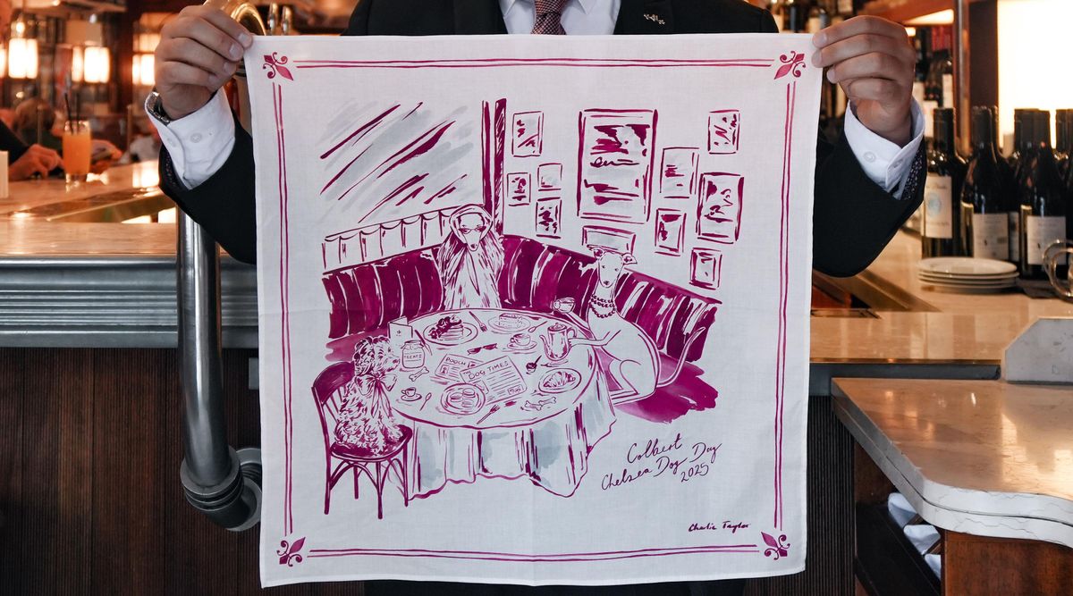 The Chelsea Dog Day scarf • Colbert x Charlie Taylor thumbnail