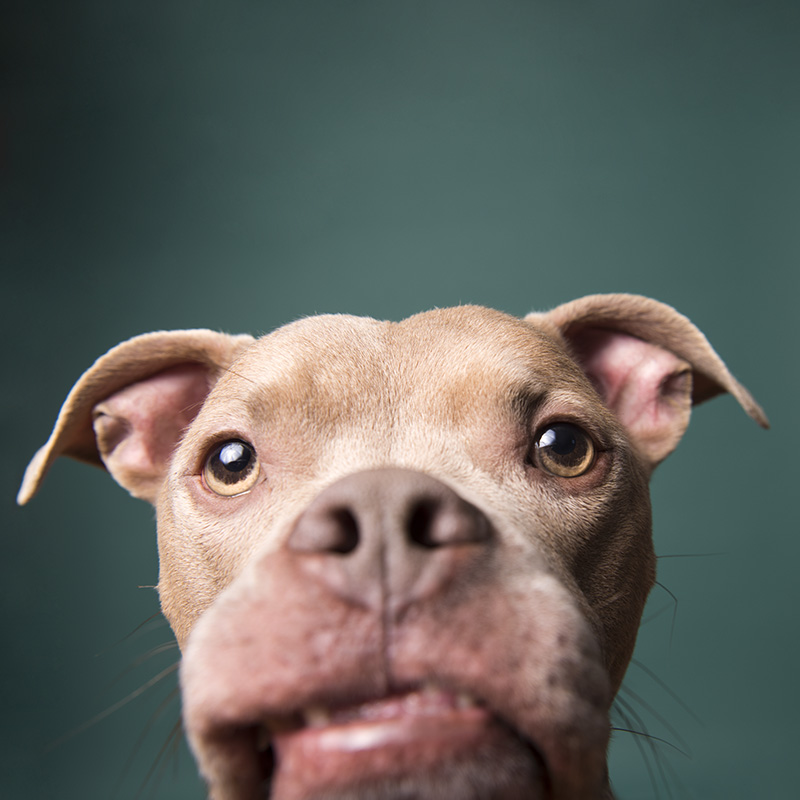 Photo tips for rescuers thumbnail