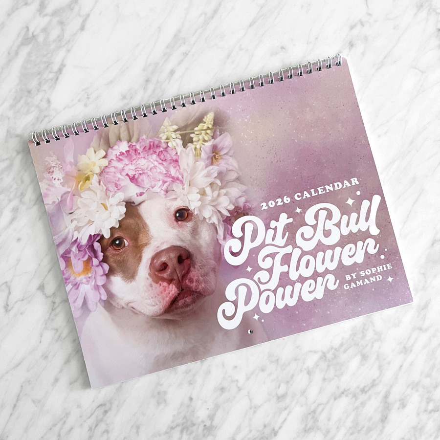 2026 Calendar thumbnail