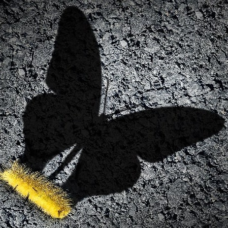 Polyvagal informed addiction recovery  thumbnail