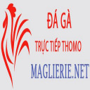 @dagamaglierie · Đá Gà Trực Tiếp Thomo thumbnail