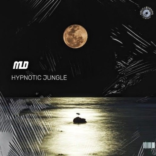 Hypnotic Jungle (Techno) thumbnail