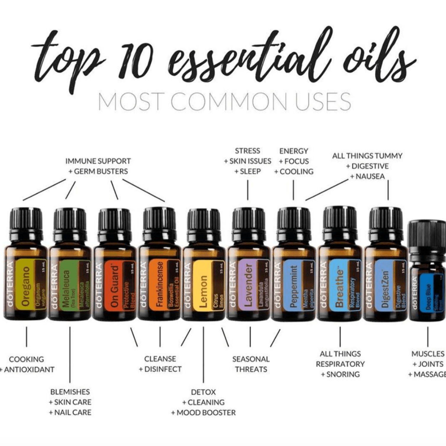 My Favorite Essential Oils thumbnail