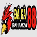 @daga88ibnhamza · ĐÁ GÀ 88 ĐÁ GÀ TRỰC TIẾP THOMO thumbnail