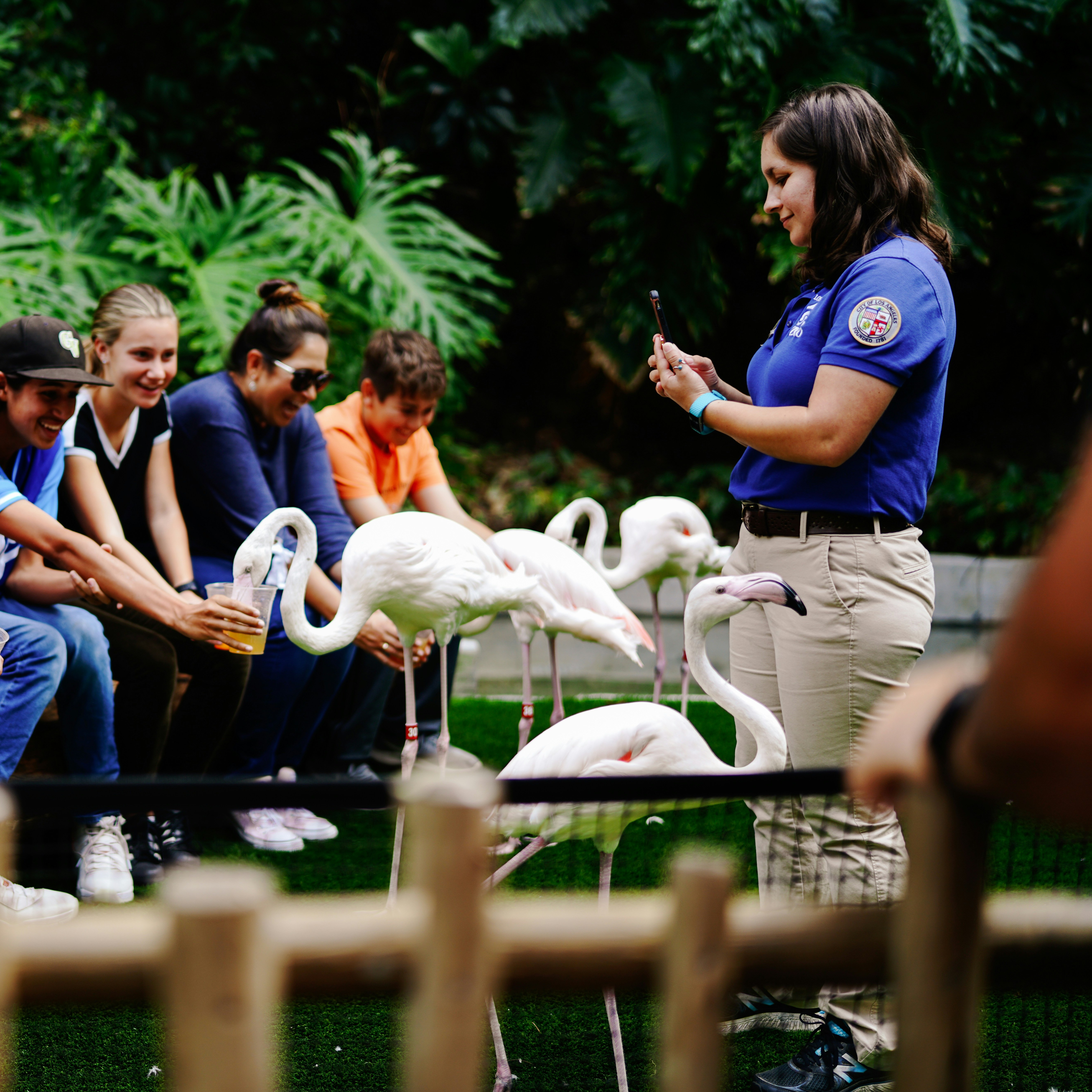 British and Irish Association of Zoos and Aquariums thumbnail
