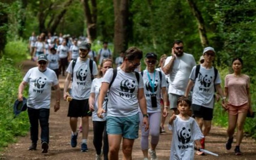 World Wide Fund for Nature thumbnail