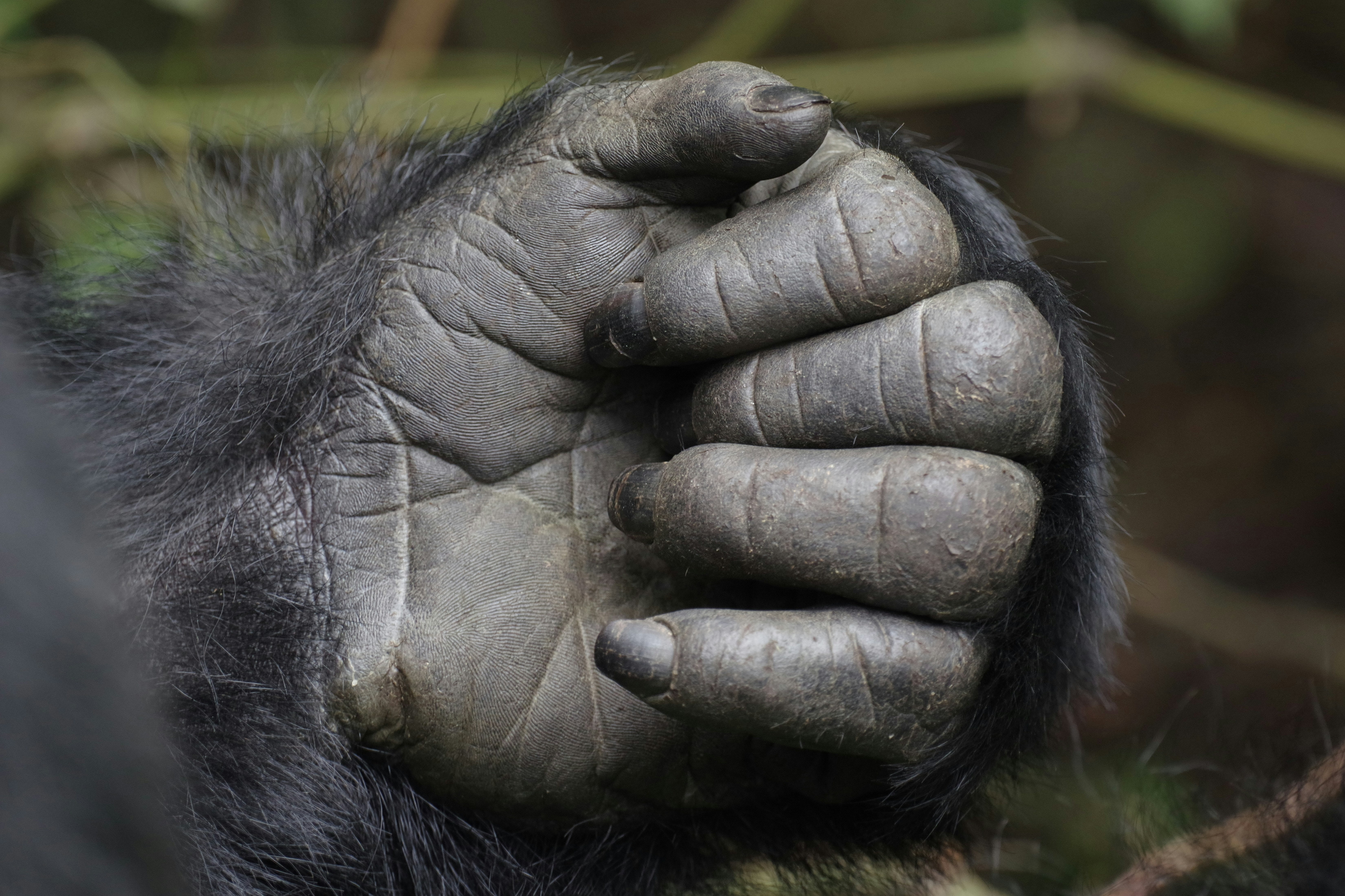 Conservation Networking thumbnail