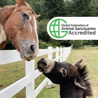 Global Federation of Animal Sanctuaries thumbnail