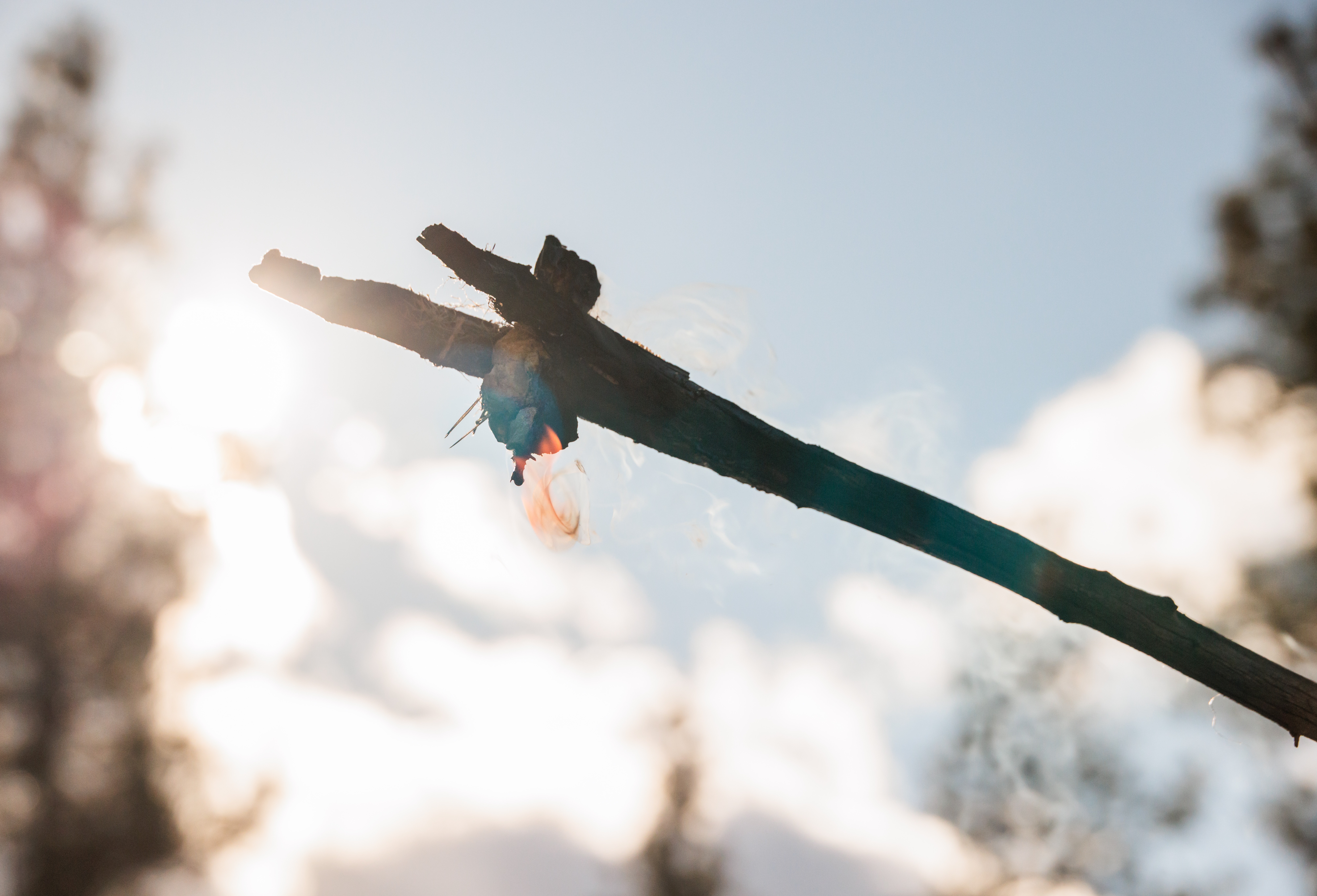 Indigenous Cultural Fire: Myths & Facts  thumbnail