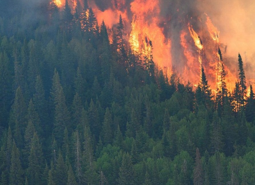 The Hill Times: When will Canada embrace Indigenous-led wildfire solutions that we know work? thumbnail