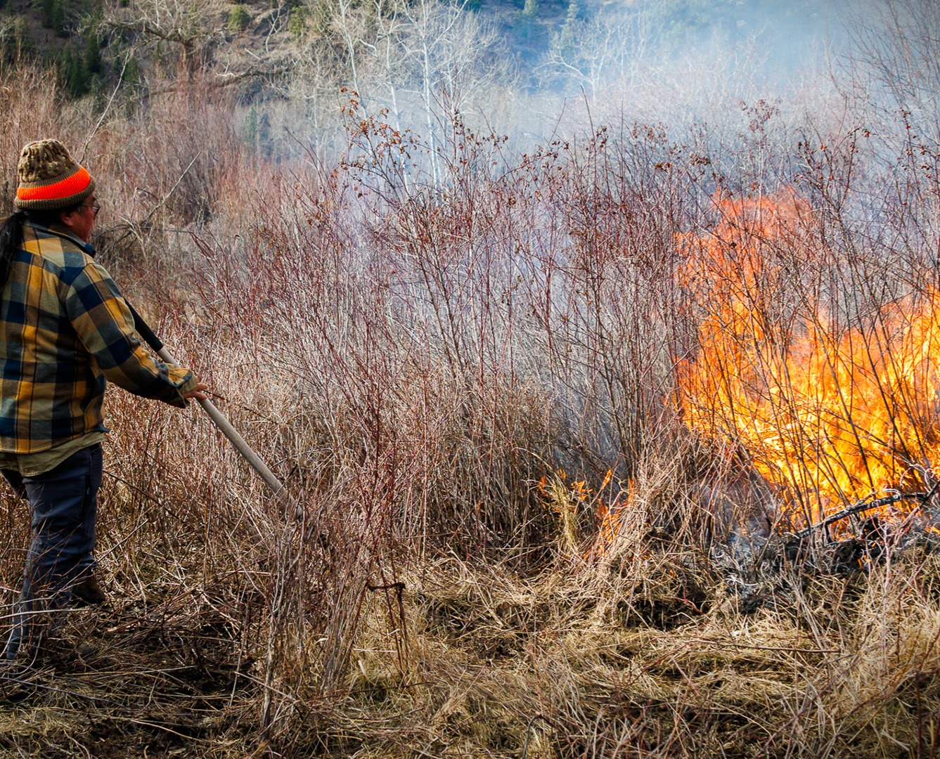 WATCH: REIGNITION Bringing Good Fire Back to the Land thumbnail