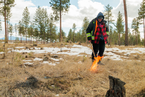 Living on Earth:  "Good Fire": How Cultural Burning Heals Land and People thumbnail