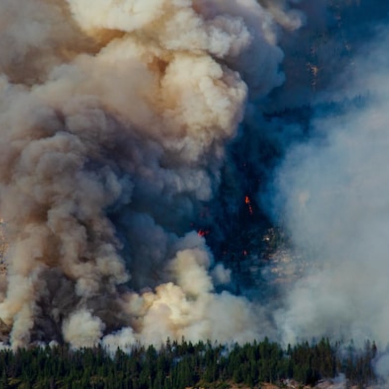 The Globe & Mail Op-ed: A Solution to Reduce Wildfire Risk and Cost — Indigenous Guardians thumbnail