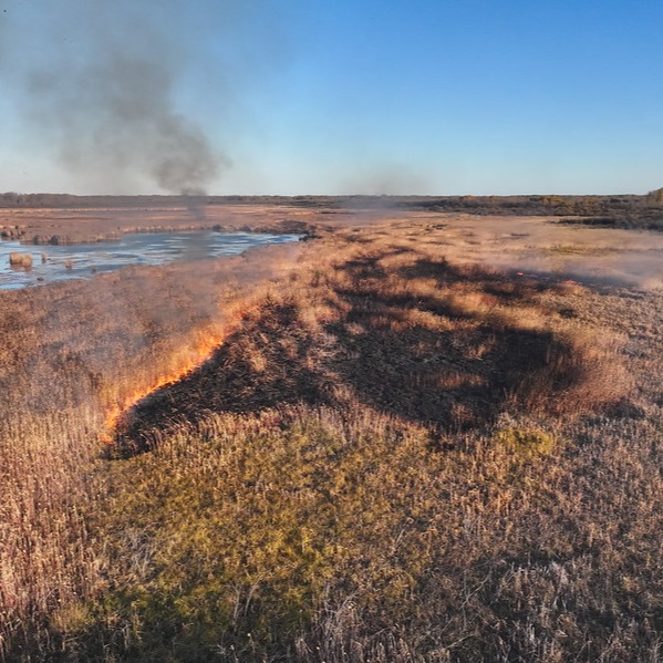 Indigenous-led Research Helps Restore Fire Stewardship and Biodiversity in the Saskatchewan River Delta thumbnail