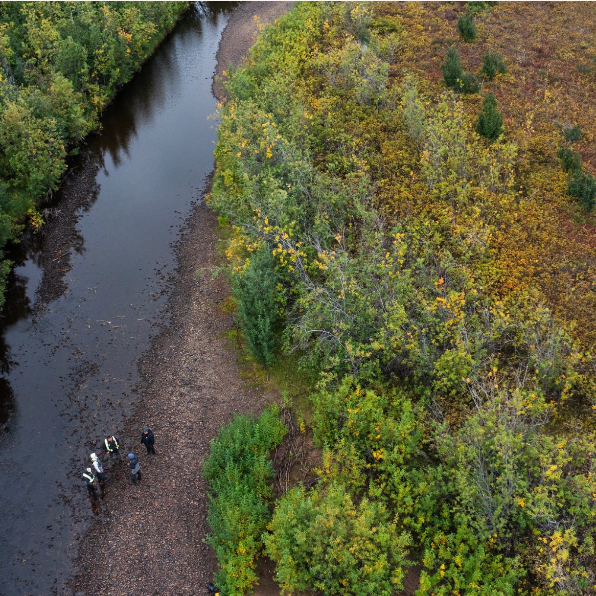 Indigenous-led Conservation Is Key to Achieving COP16 Biodiversity Goals thumbnail