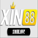 @xin88nyc · Xin88 thumbnail