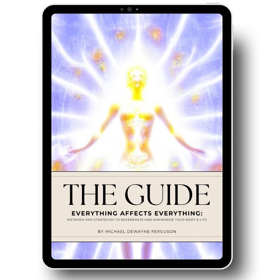 Check out the guide to the life philosophy I’m on (Discount code SAGACIFER) thumbnail