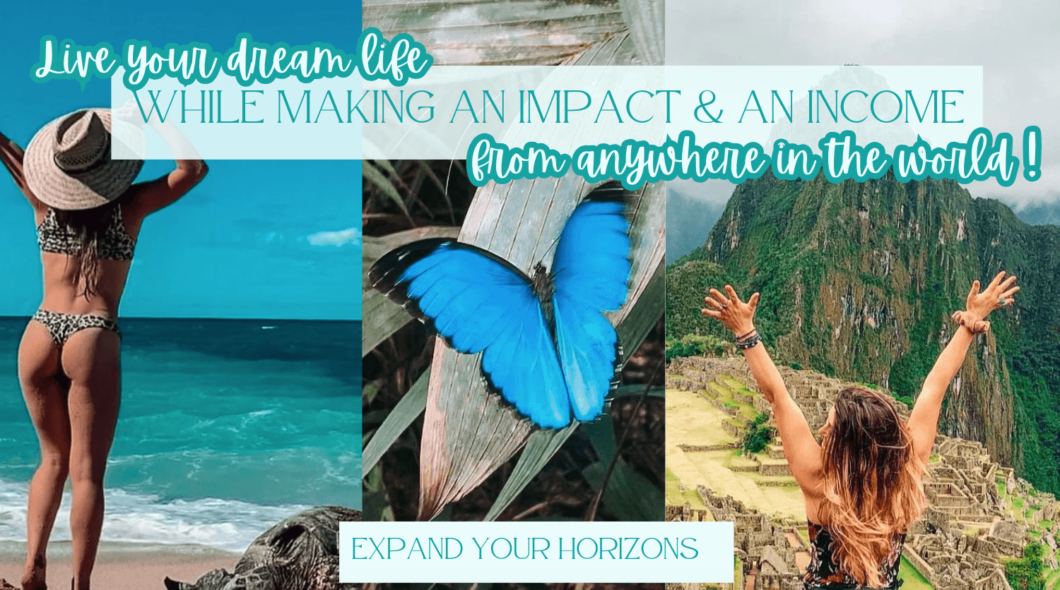 Discover Online Income 🦋 thumbnail