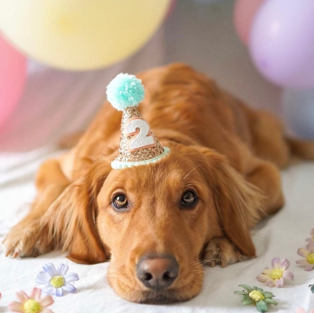 Bendera138 thumbnail