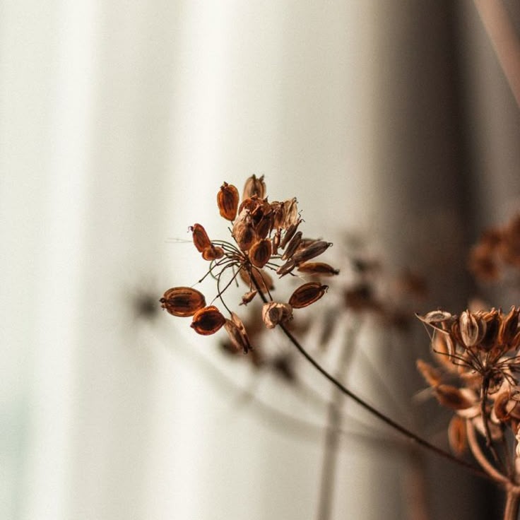 Nosso Perfil no Google thumbnail