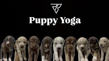 Puppy Yoga  Sunday 10/27 @12pm thumbnail